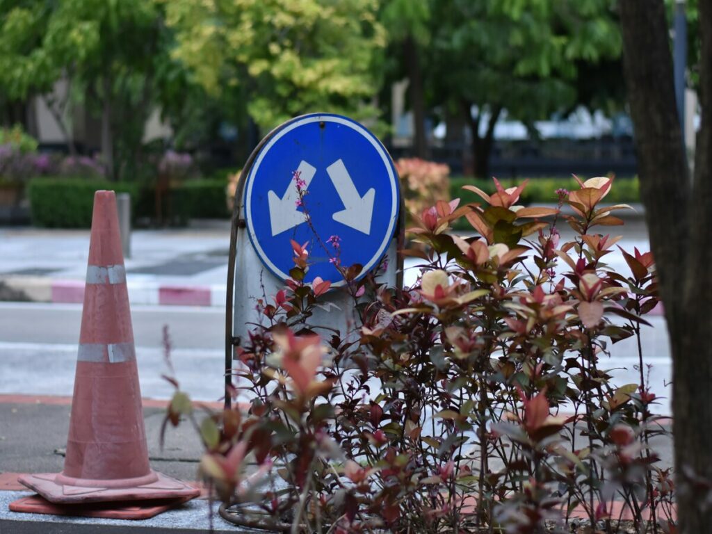 cones and signs