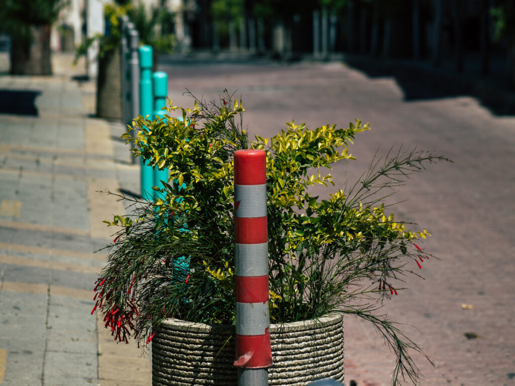 bollard post