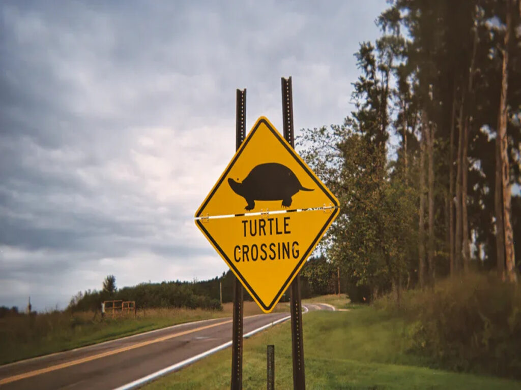 OPTSIGNS | From Road Delineators to 'Ecological Guardians': Designing Wildlife-Friendly Traffic Facilities OPTSIGNS | From Road Delineators to 'Ecological Guardians': Designing Wildlife-Friendly Traffic Facilities