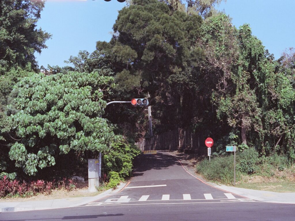 OPTSIGNS | From Road Delineators to 'Ecological Guardians': Designing Wildlife-Friendly Traffic Facilities OPTSIGNS | From Road Delineators to 'Ecological Guardians': Designing Wildlife-Friendly Traffic Facilities