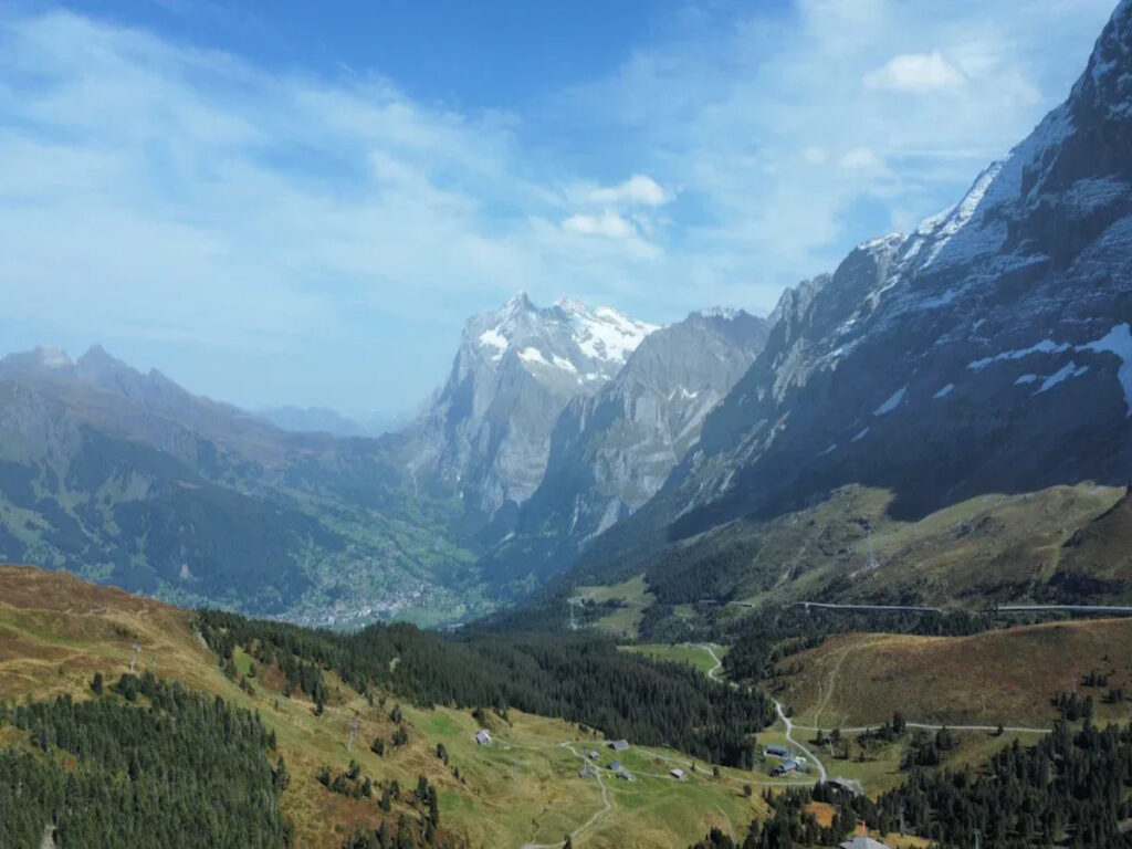 OPTSIGNS | Lessons from the Great Alpine Road Incident: Why Traffic Cones are Essential for Road Safety