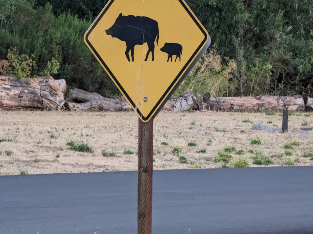 OPTSIGNS | Exploring the Most Common Animal Crossing Signs on Australian Rural Roads OPTSIGNS | Exploring the Most Common Animal Crossing Signs on Australian Rural Roads