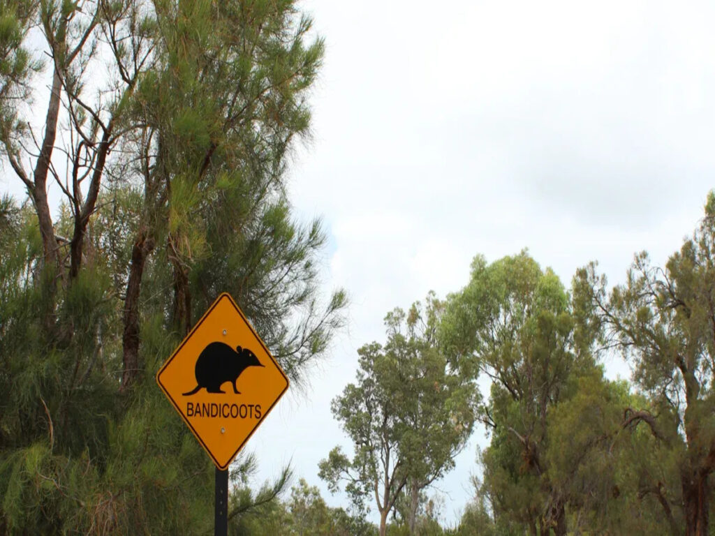OPTSIGNS | Warning Signs Under AS 1742.2: Shape, Size and Usage