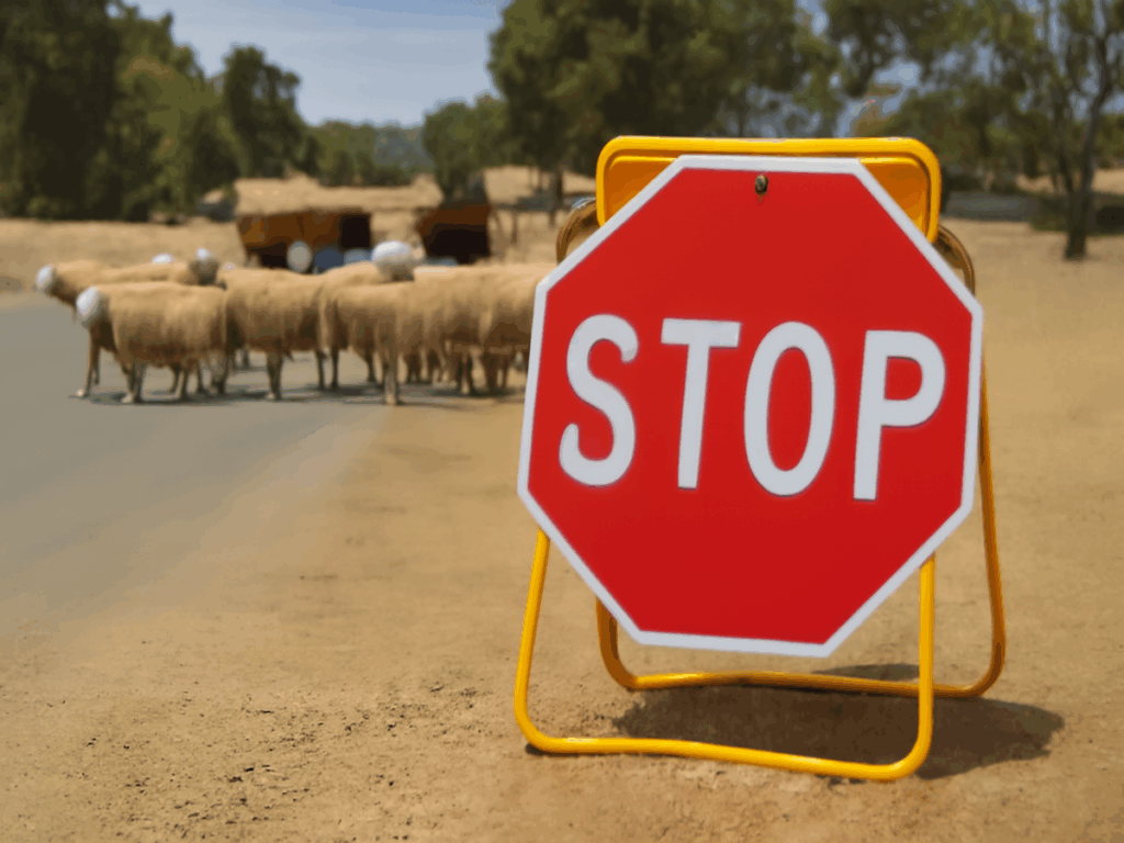 OPTSIGNS | When to Use Folding STOP Signs vs Permanent GIVE WAY Signs at Stock Crossings