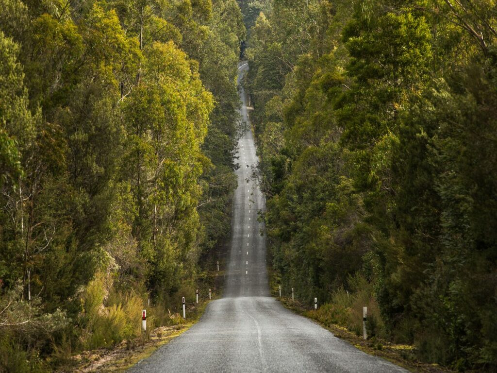 OPTSIGNS | Wombat Crossings vs. Pedestrian Crossings: What You Need to Know About Crossing Signs in Australia OPTSIGNS | Wombat Crossings vs. Pedestrian Crossings: What You Need to Know About Crossing Signs in Australia