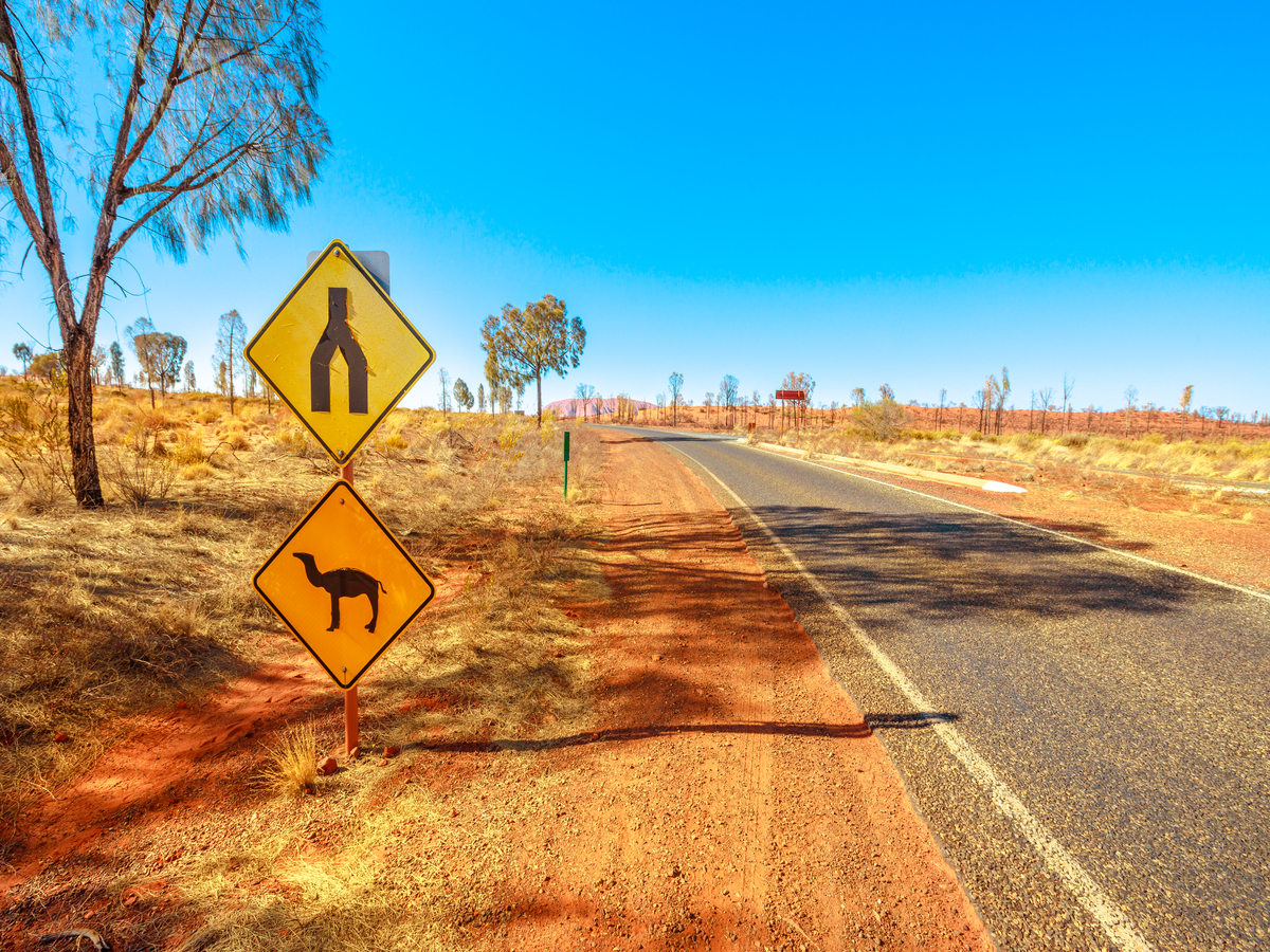 OPTSIGNS | AS 1743 and the Standardisation of Sign Shapes and Symbols