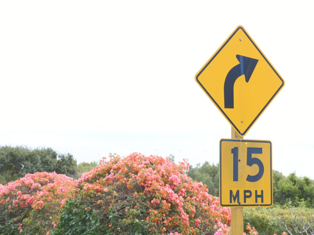 OPTSIGNS | Regional Variations: Are Yellow Speed Limit Signs Used Everywhere?